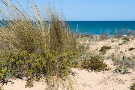Casa Felipa, Una Estancia Unica En La Costa Blanca Guardamar del Segura Kültér fotó