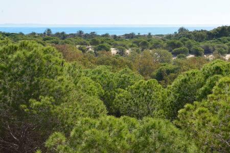 Casa Felipa, Una Estancia Unica En La Costa Blanca Guardamar del Segura Kültér fotó